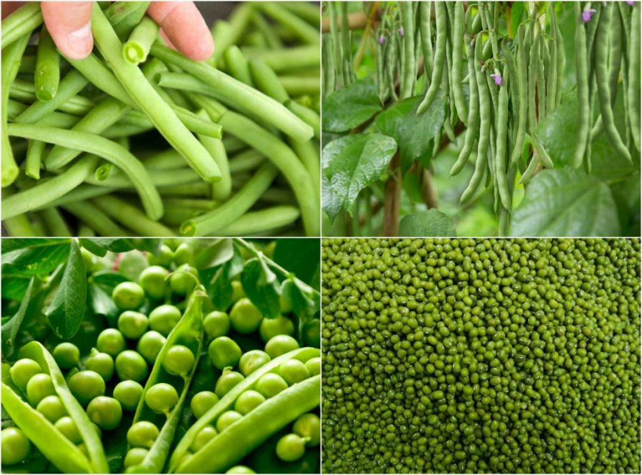 Những chất dinh dưỡng "vàng" dành cho người ăn chay