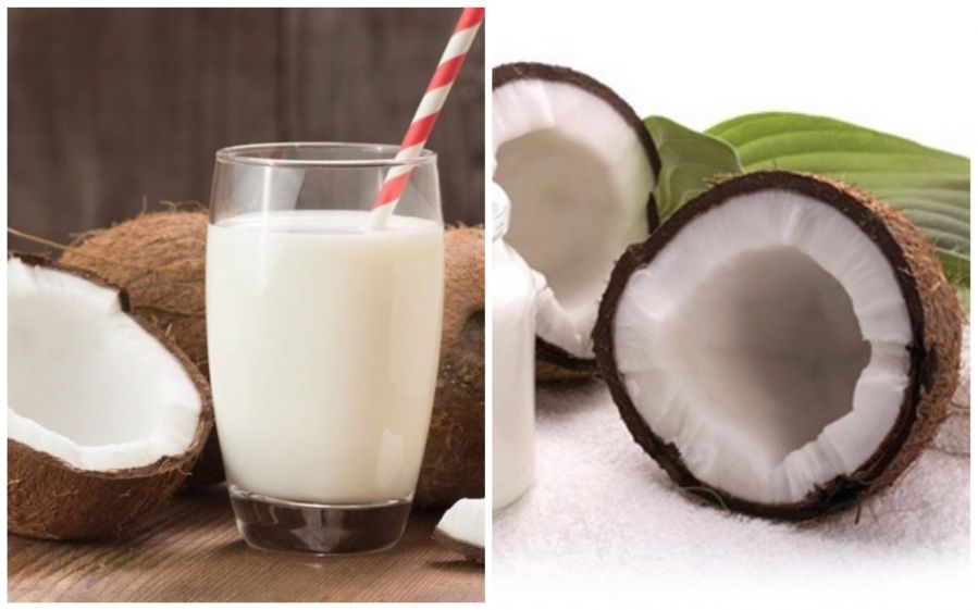 The "Extraordinary" of coconut milk gives us