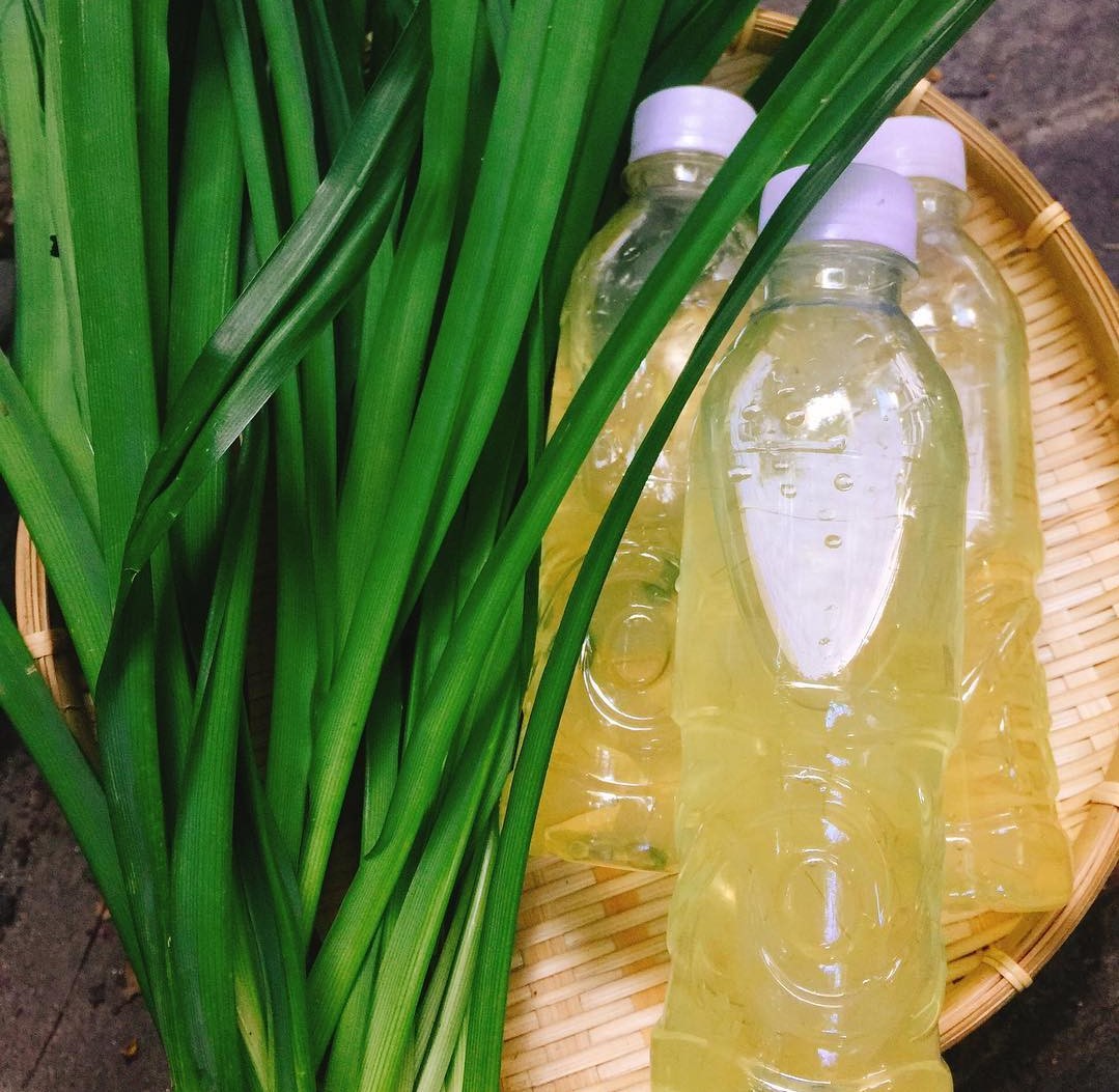 Aloe vera sugar is cool