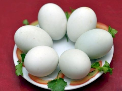 Choose delicious duck eggs in the way "MR. ANH" teaches