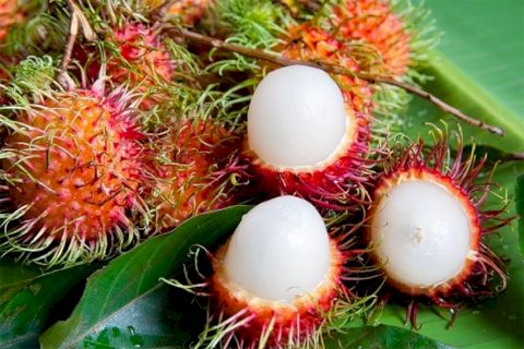 Tips to distinguish natural ripe or medicinal fruits