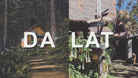 Eliminate the question "What to go to Dalat to eat?" Through the list of dishes below.