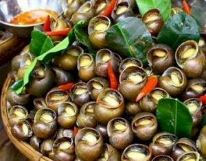 Ốc bươu hấp sả ngon nhất