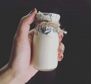 Sữa chua phô mai tại nhà
