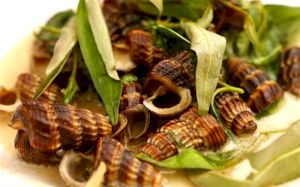 Ốc len xào dừa